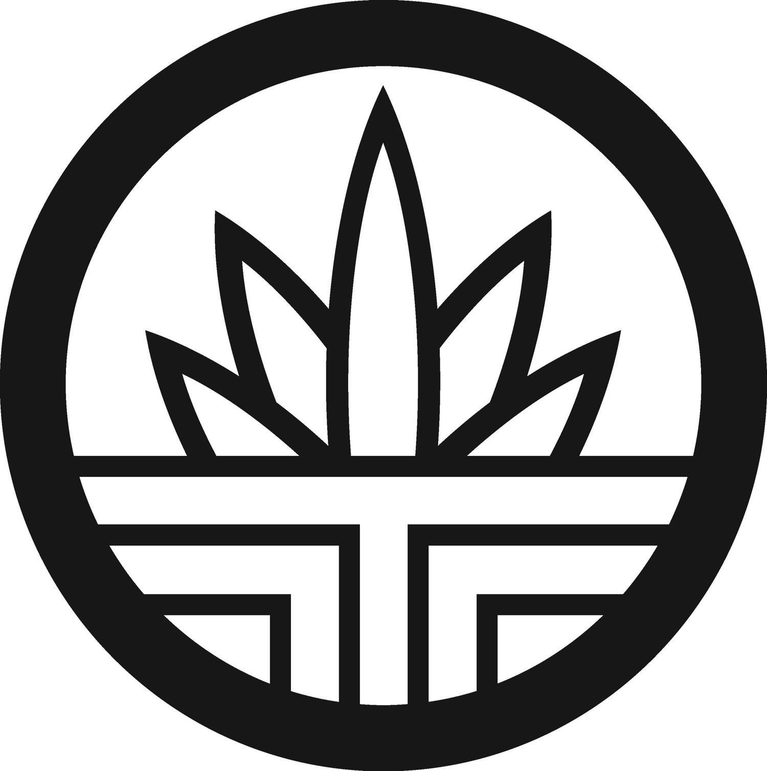 OTACA Tequila logo