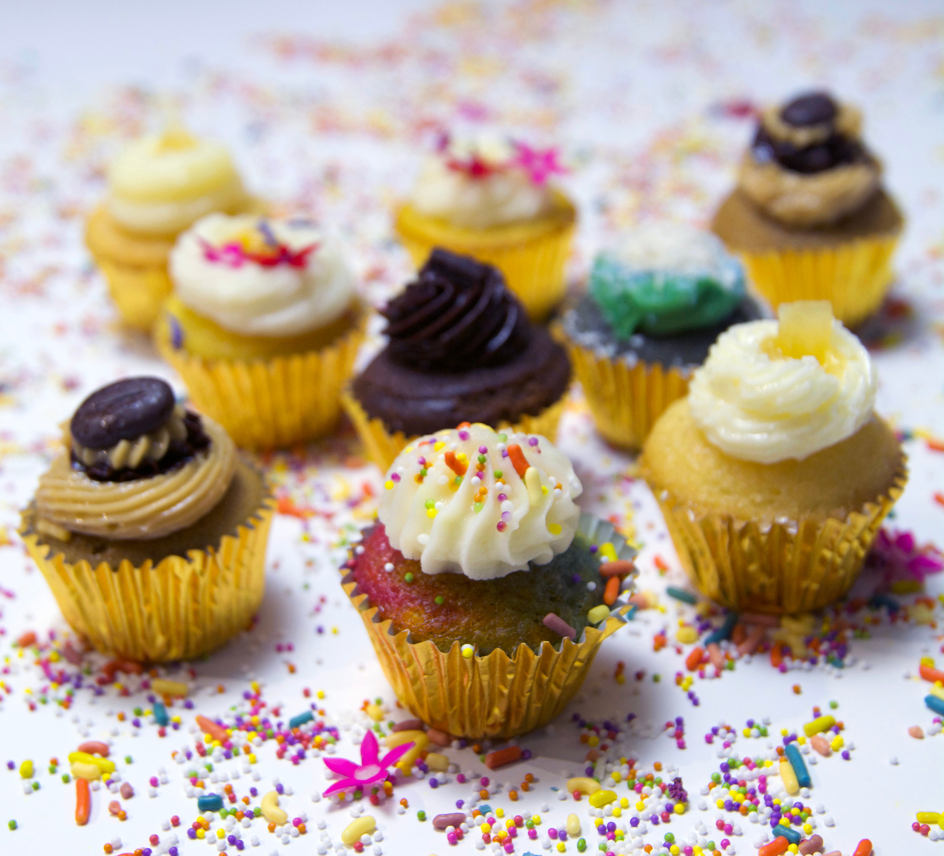 Akiko white Cakelustrator LLC logo