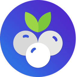 Vidioo Media Group Inc logo