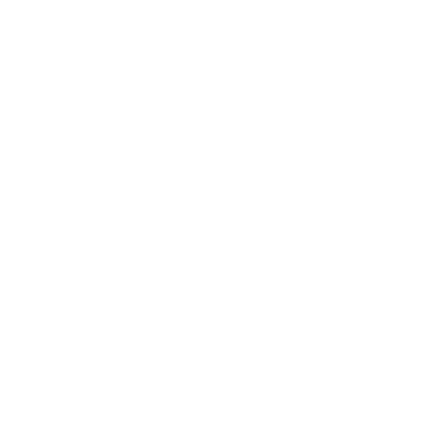 DOMKA logo