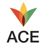 Affordable Community Energy Services Company (ACE) logo