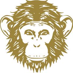 Omneky logo