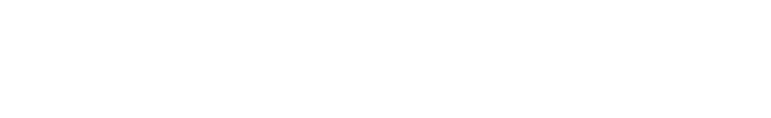 ORIGINAL BRANDS logo