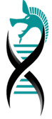 Carnyx Therapeutics, Ltd logo