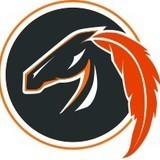 Little Red Feather logo