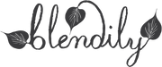 Blendily logo