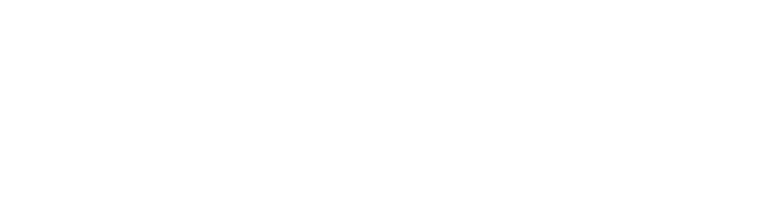 BAUNS logo