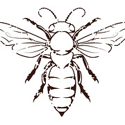 Wehrloom Honey & Meadery logo
