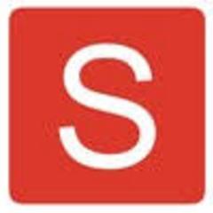 LSG logo