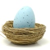 A Blue Egg Corporation logo