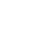 The Onion Tree logo
