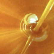 Love of Honey logo