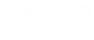 NA BREWS logo