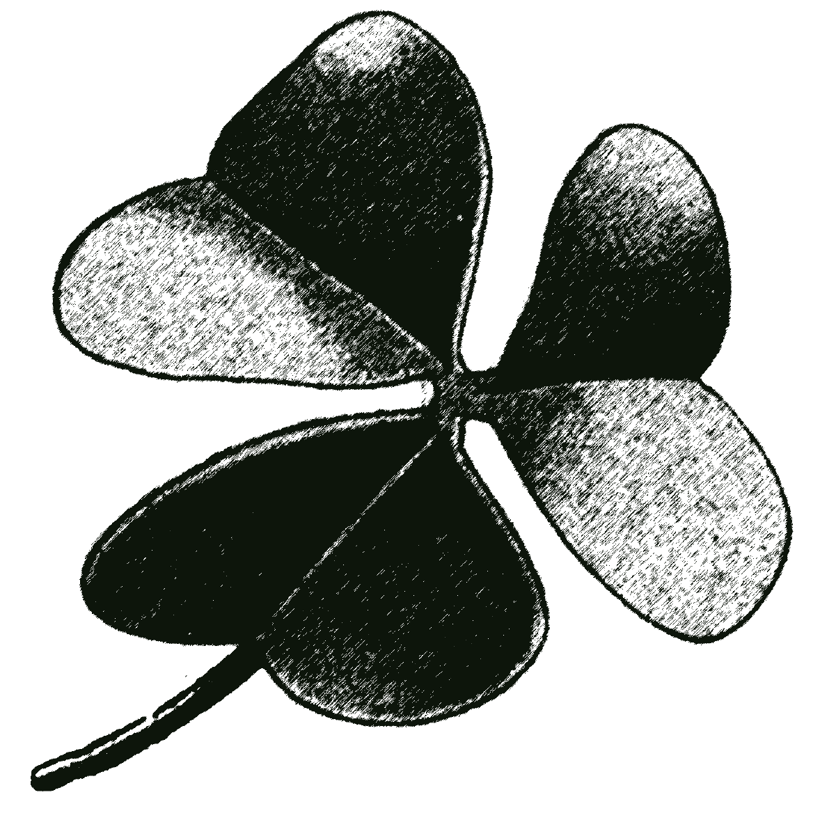 Oxalis Food, LLC logo