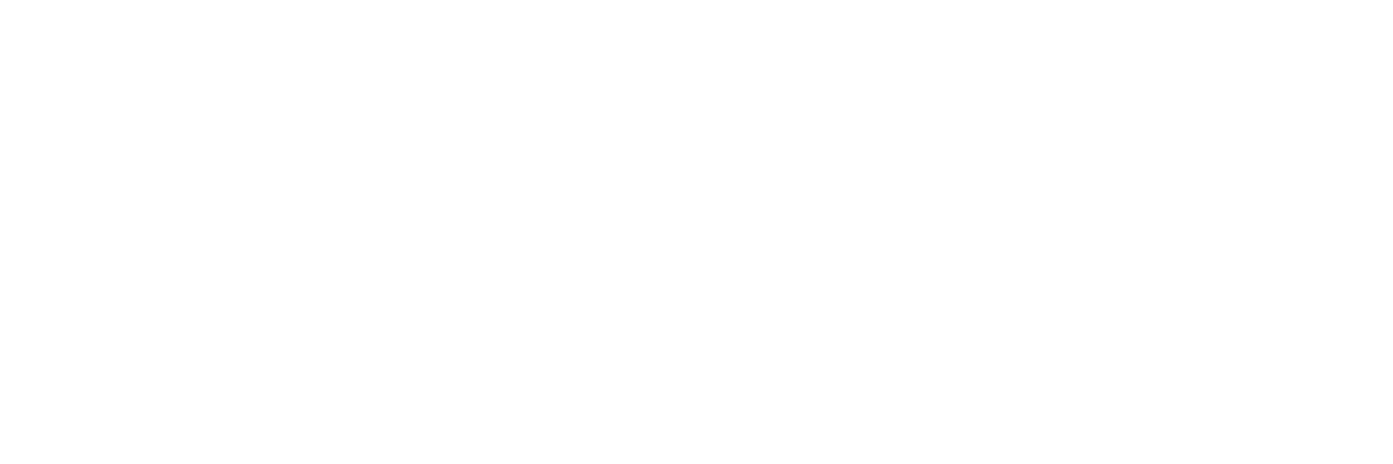 BLU OPPORTUNITY logo