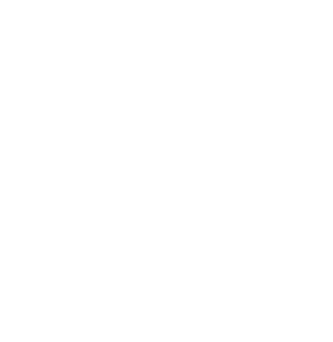 EVRMORE logo