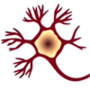 Anesu Restorative Care, LLC logo