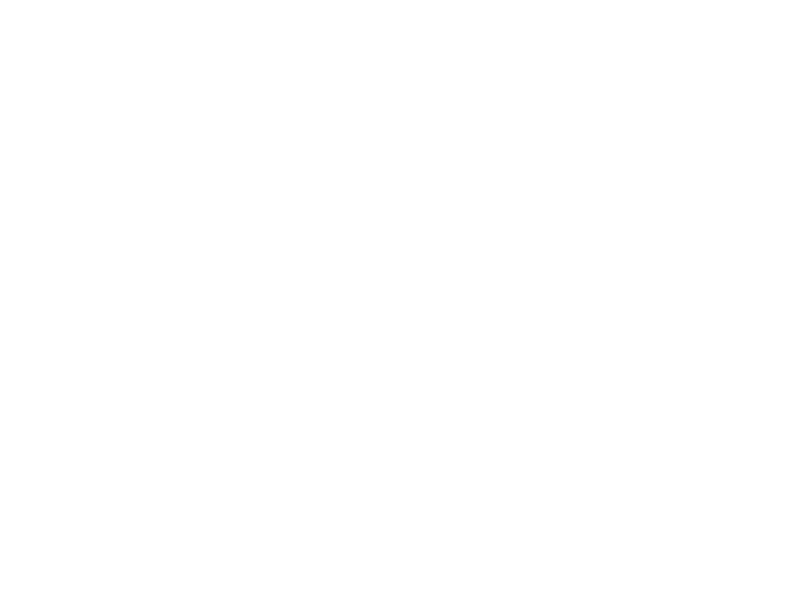 Dome Audio logo