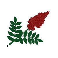 SUMAC MEDITERRANEAN CUISINE Inc. logo