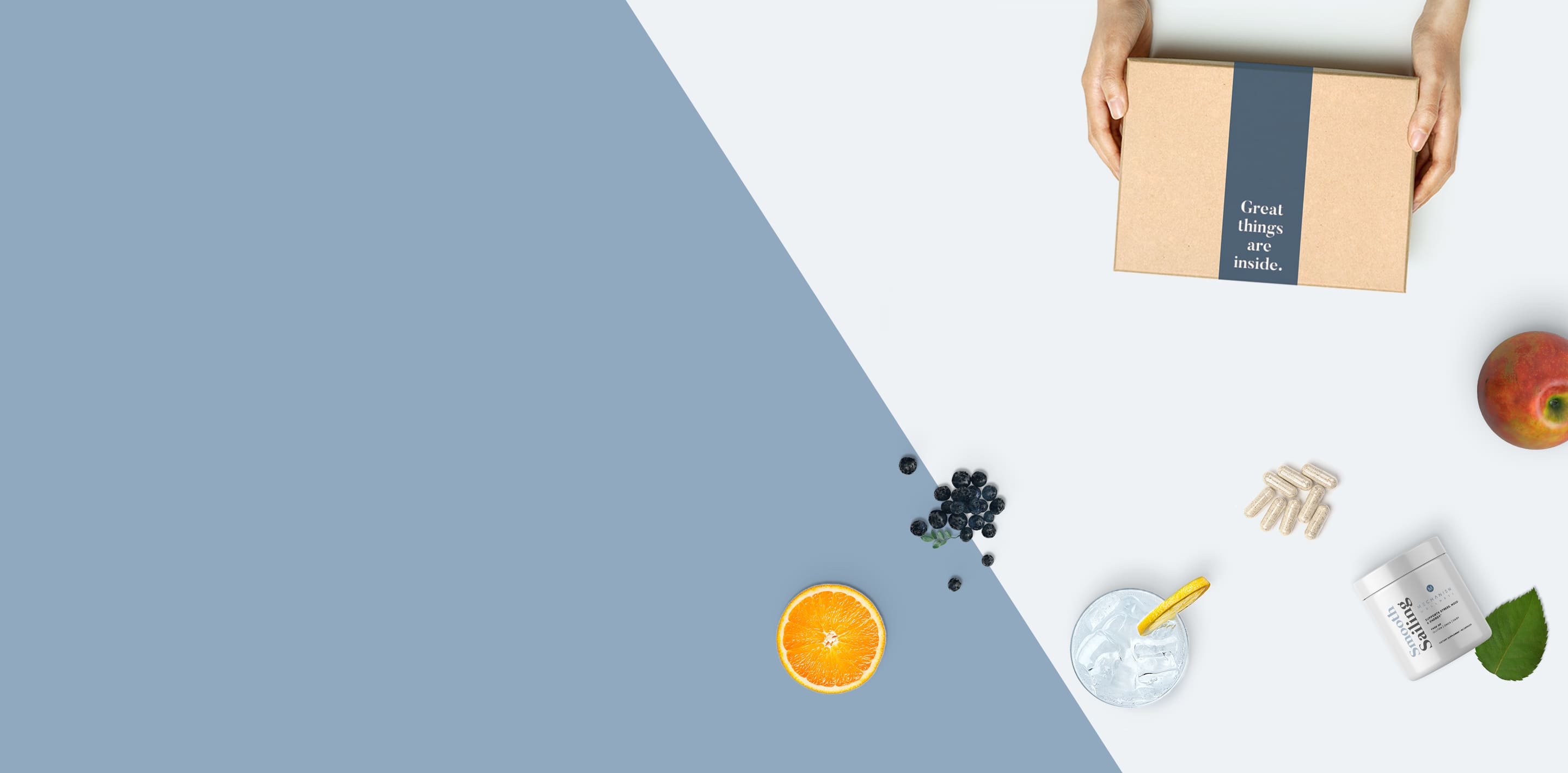 Mechanism Wellness logo
