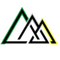 Fortune Nickel & Gold Inc logo
