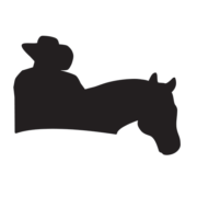 Tin Top Productions LLC logo
