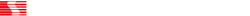 SALEEN logo