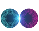 DESTINY ROBOTICS logo