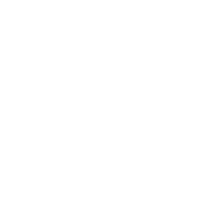 Fuego Fino logo