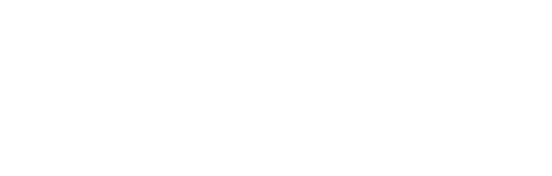 REVEAL AI logo